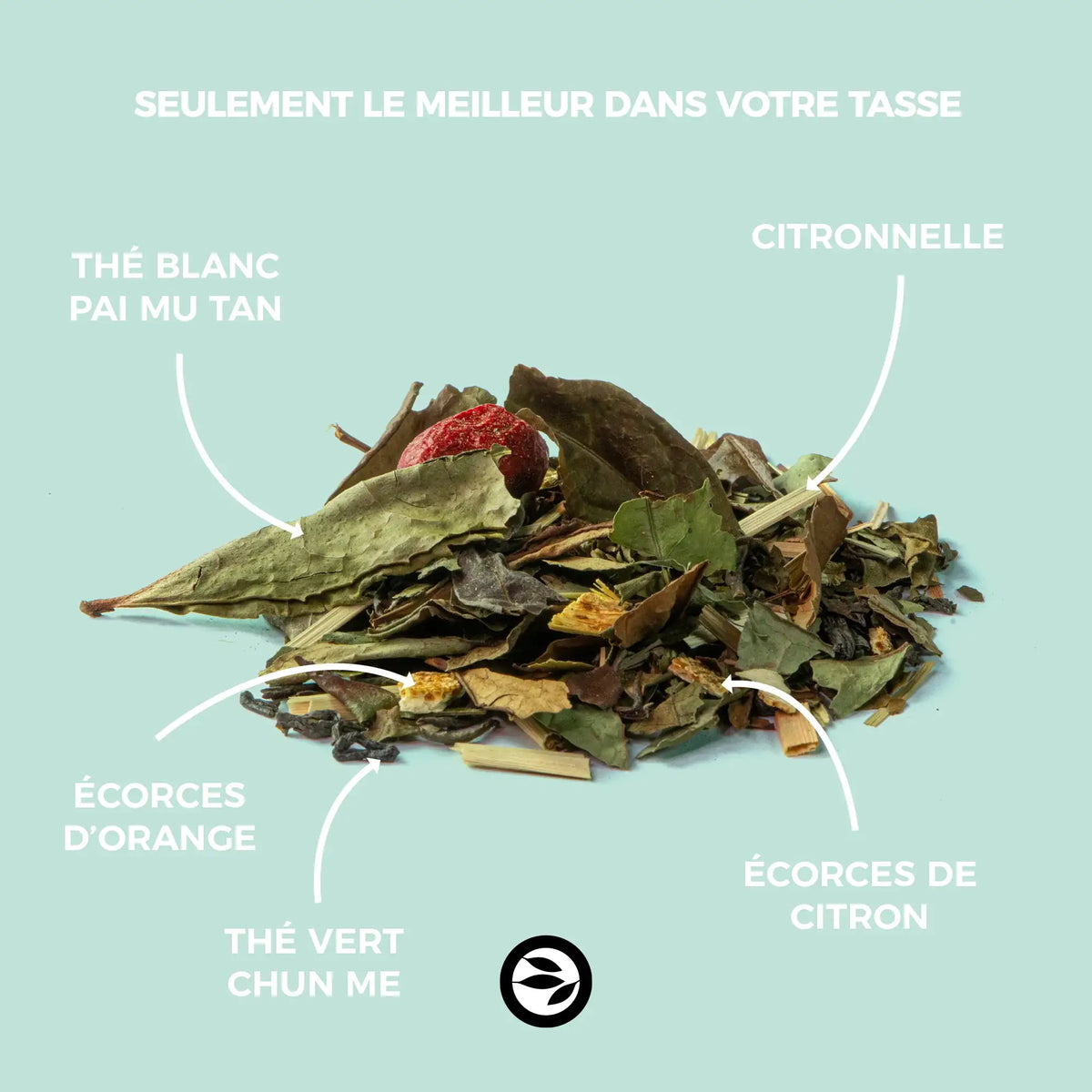 Thé blanc glacé pamplemousse & canneberge