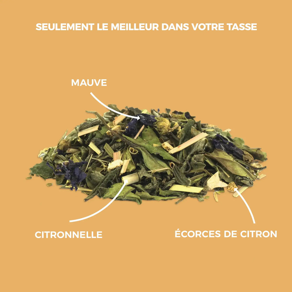 Thé vert bio citron & orange sanguine