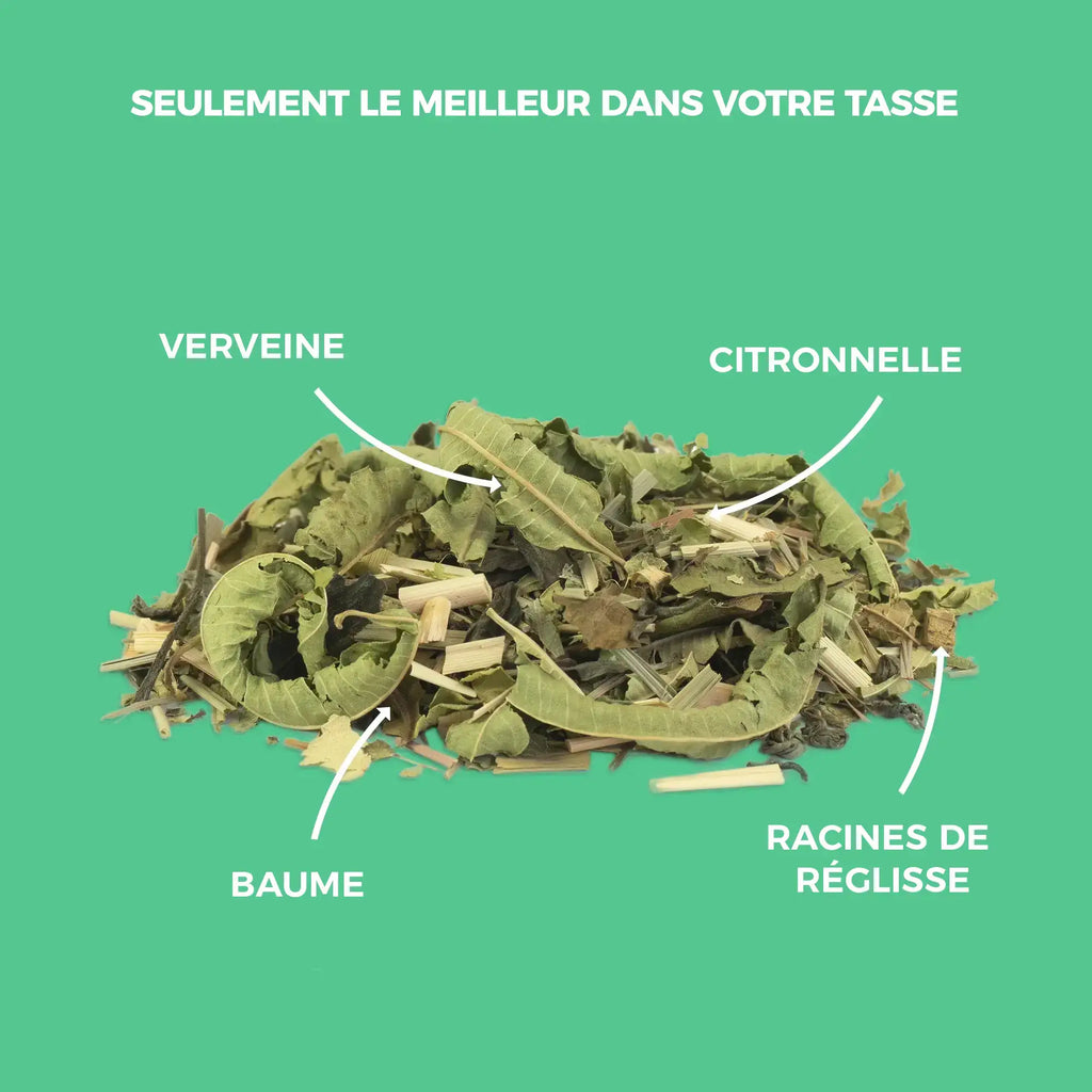 Thé vert, thé blanc & plantes bio
