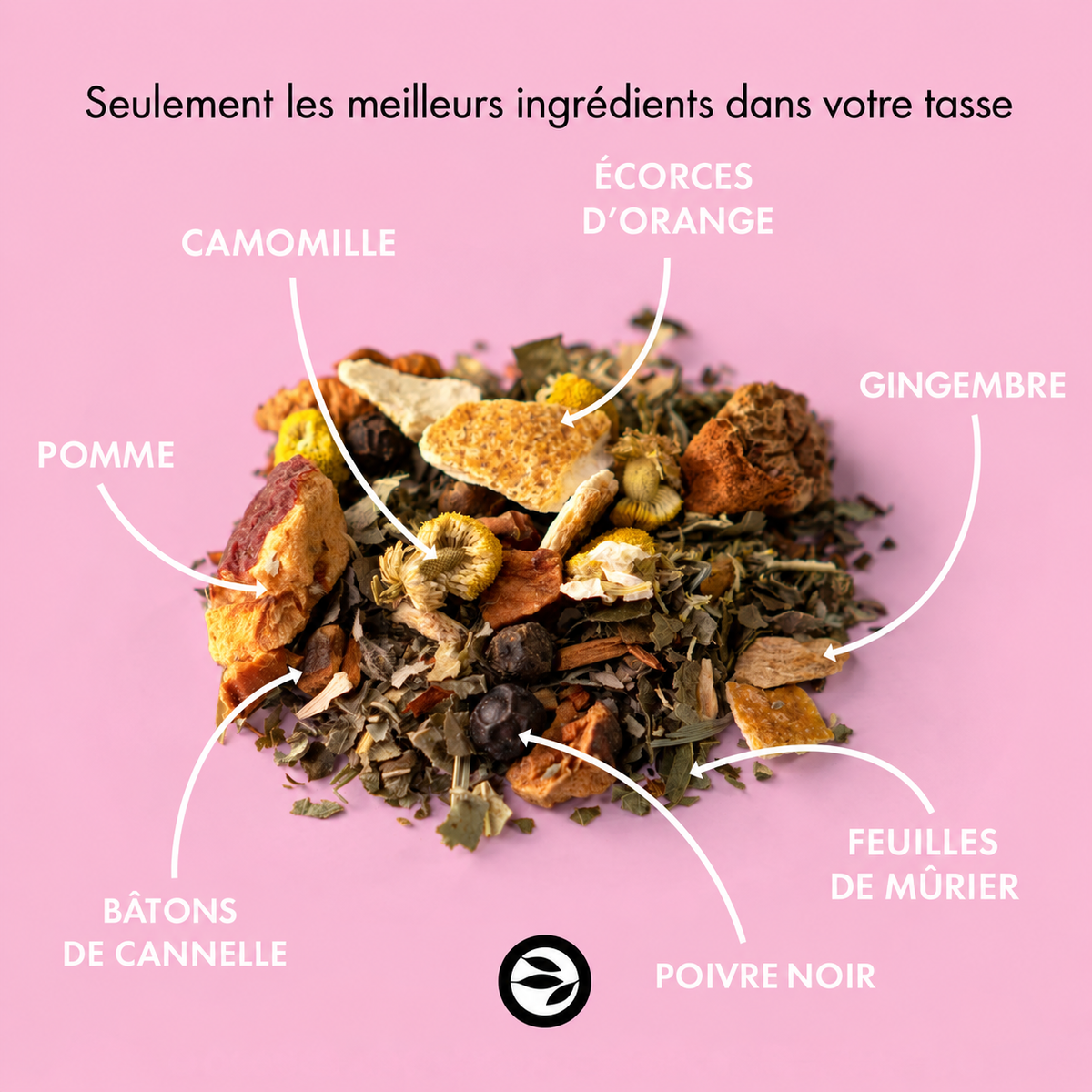 Infusion bio chai épicé