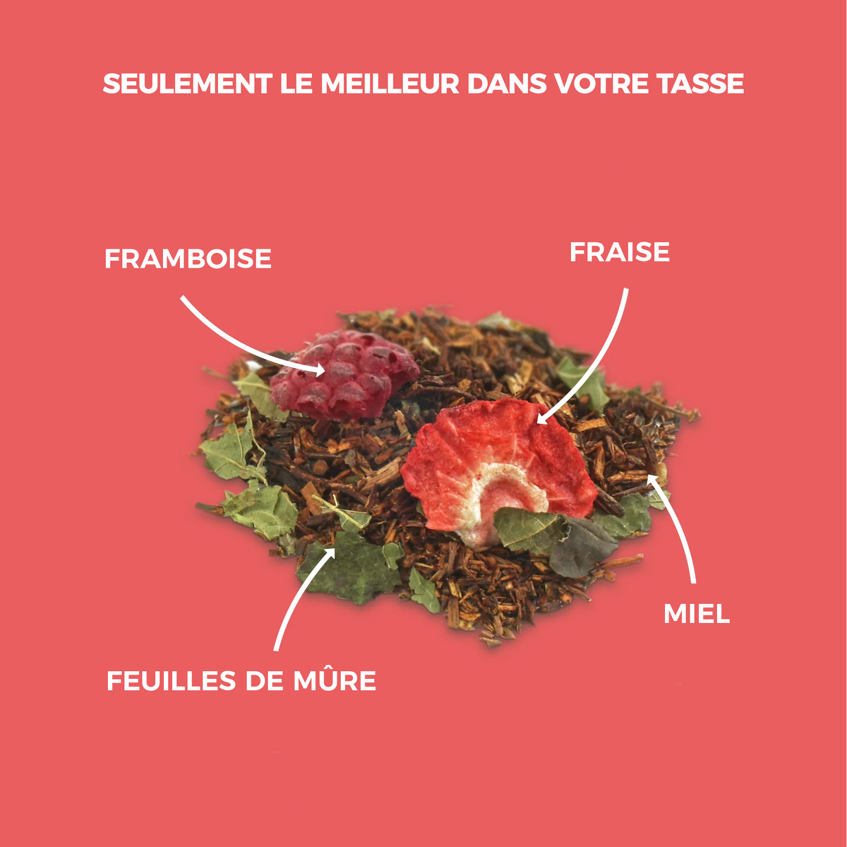 Rooibos fraise framboise Terre Infusée