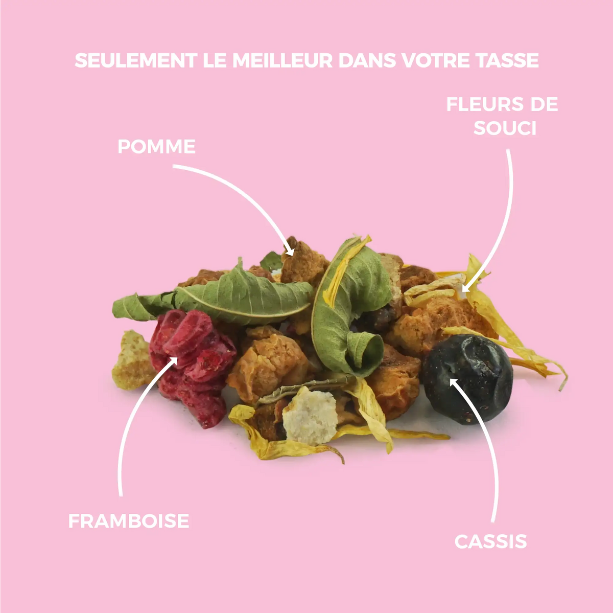 Infusion fruitée bio fruits des bois & citron