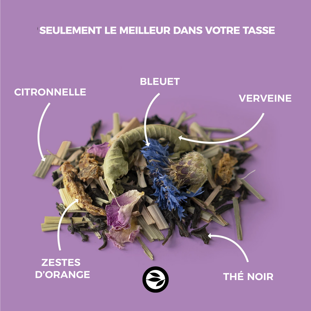 Thé noir bergamote orange citron Terre Infusée