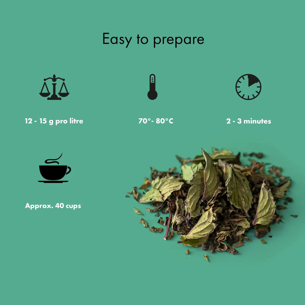 Thé vert bio menthe fraîche