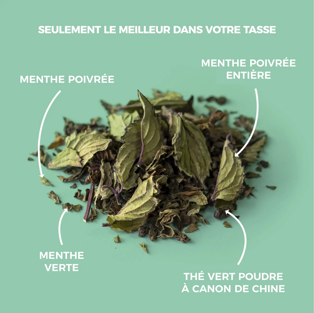 Thé vert bio menthe fraîche
