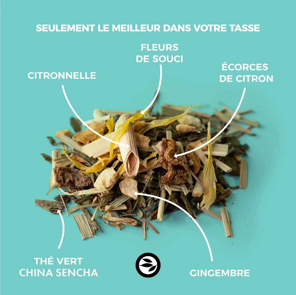 Thé vert gingembre & citron