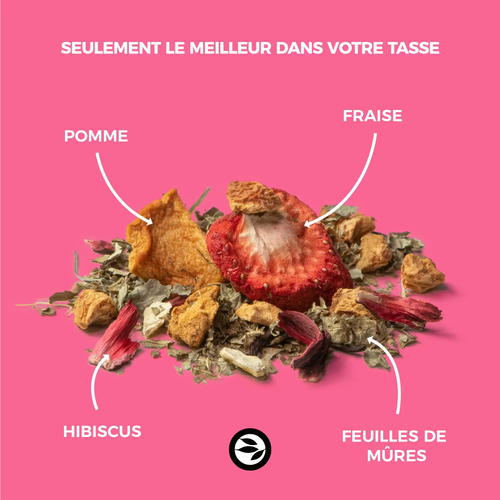 Infusion bio cranberry & fraise